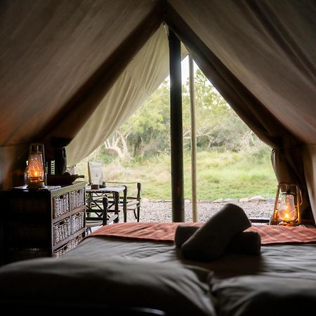 Quatermain'S 1920'S Safari Camp - Amakhala Game Reserve Exterior foto