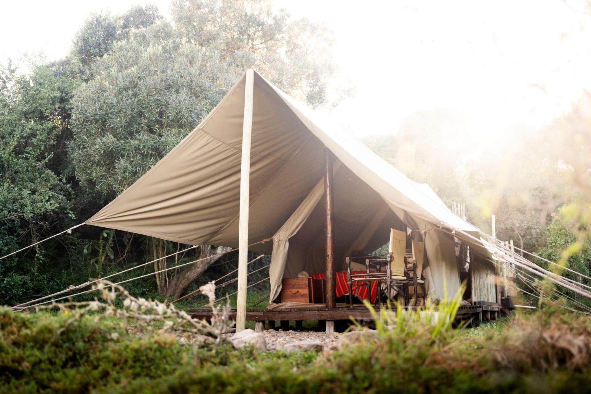 Quatermain'S 1920'S Safari Camp - Amakhala Game Reserve Exterior foto