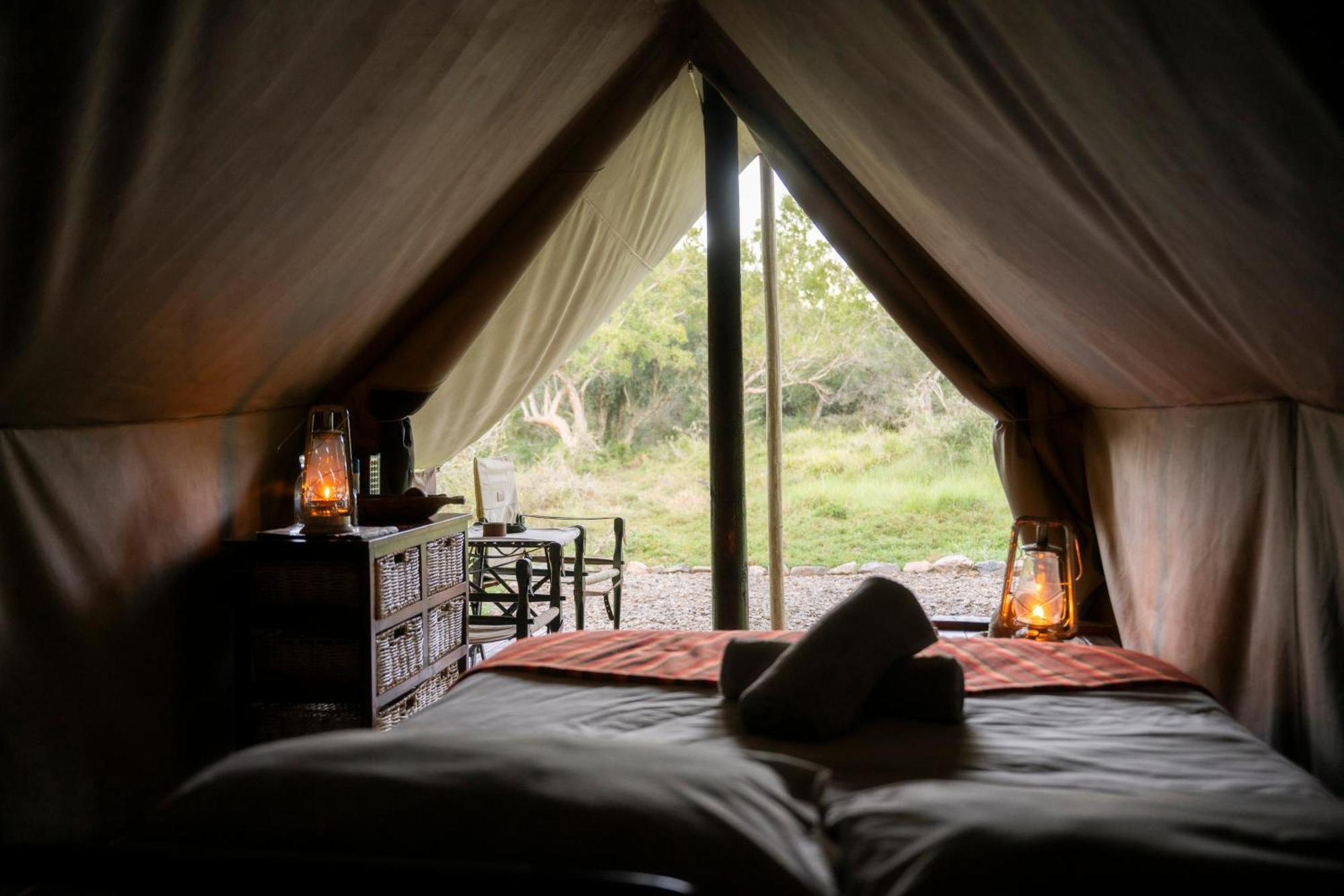 Quatermain'S 1920'S Safari Camp - Amakhala Game Reserve Exterior foto