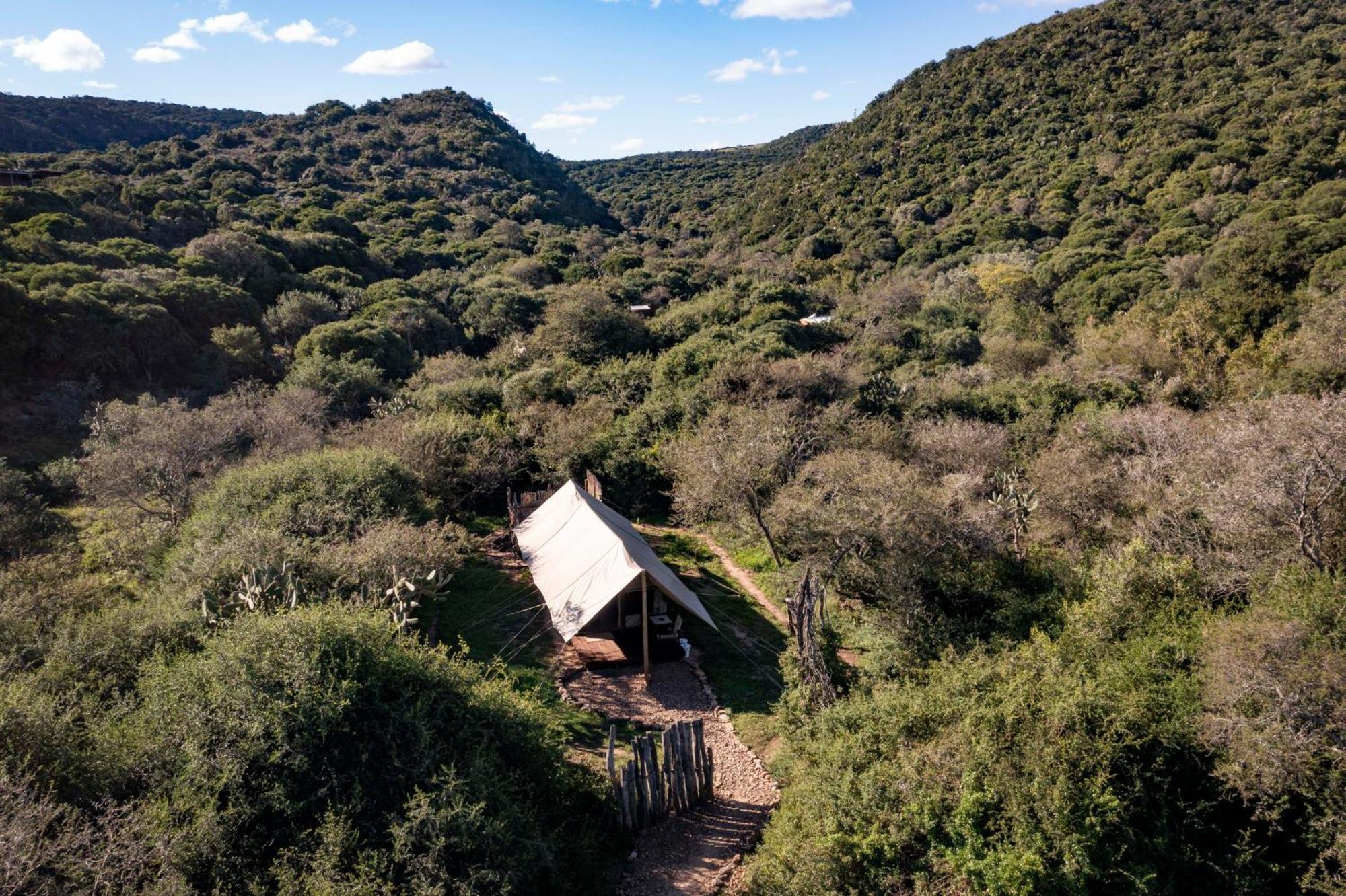 Quatermain'S 1920'S Safari Camp - Amakhala Game Reserve Exterior foto
