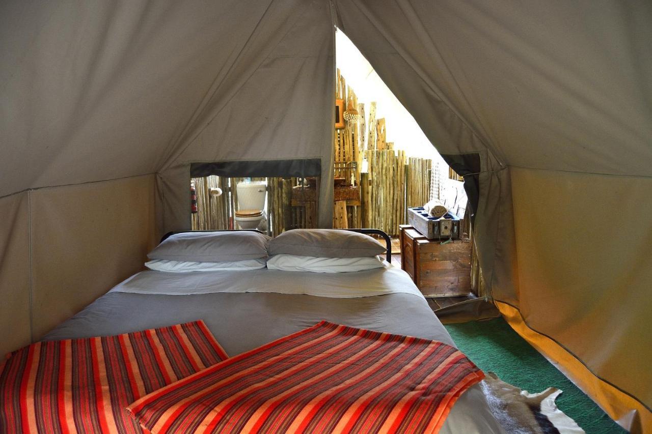 Quatermain'S 1920'S Safari Camp - Amakhala Game Reserve Exterior foto